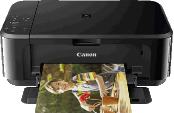 canon mg4250 printer ink