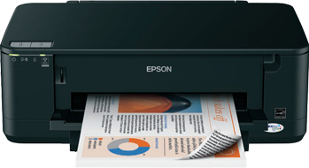 Epson B42WD Inks