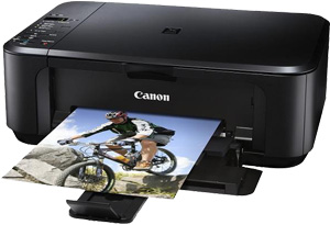 Canon Pixma MG2155