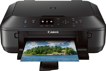 Canon MG5500 Inks