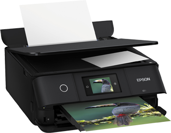 Epson XP-8505 Inks