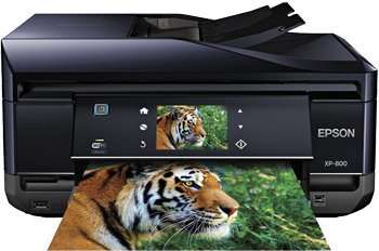 Epson XP-800 Printer