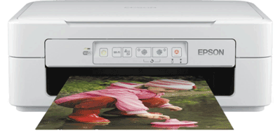 epson xp 247 compatible ink