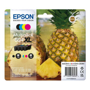 Original Epson 604XL Pineapple Ink Cartridge Multipack