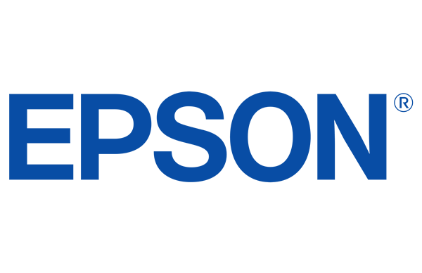 Epson Ink Cartridges